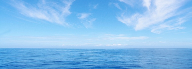 ������ЃC�[�X�g�E�C���h